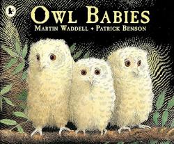 Owl Babies (Paperback)